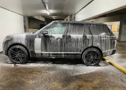 Exterior Wash & Deep Vacuum